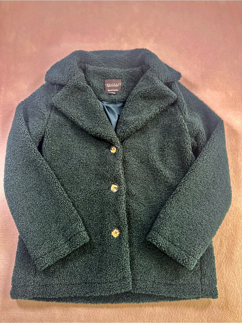 Sanctuary Sherpa Teddy Coat in Green Size Medium Like New